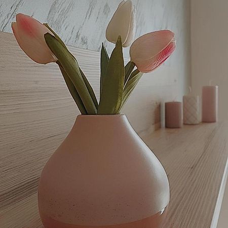 Sunray Apartman Požarevac Dış mekan fotoğraf